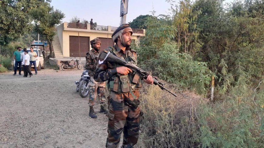 J&K Terror Attacks: 2 Terrorist Killed In Kathua District Of Jammu & Kashmir